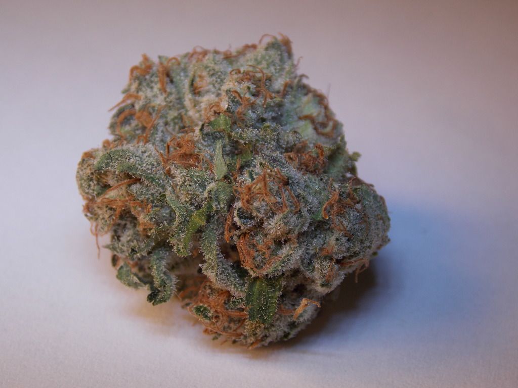 DSCN1252.jpg
