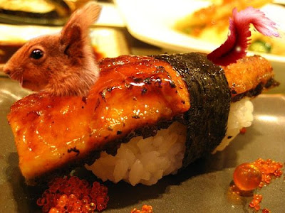 squirrel%2Bsushi.jpg