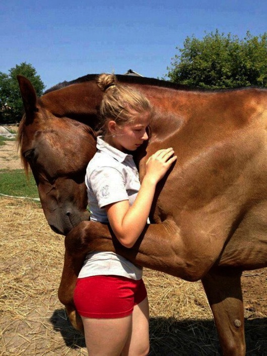hugs3.jpg