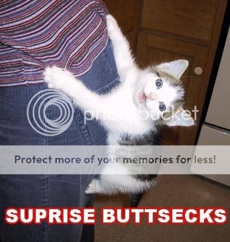 surprise-buttsecks.jpg