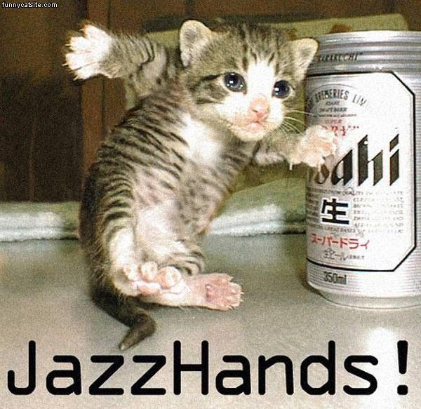 jazz_hands_cat.jpeg