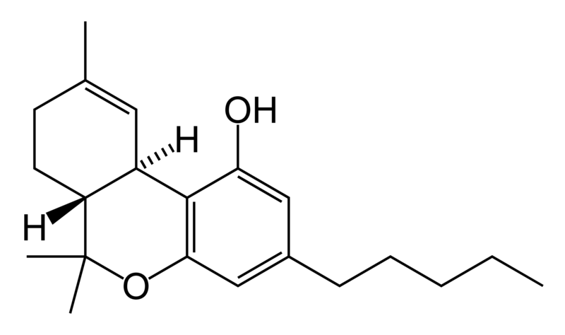 thc-skeletal.png