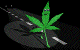 Sj0amxts6HAWs.gif