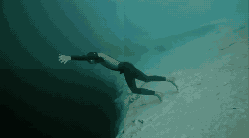 LApCqOu.gif
