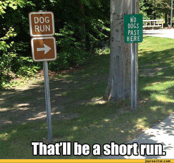 comics-dog-run-dog-201250.jpeg