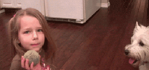daily_gifdump_950_13_zpspd2a4h72.gif