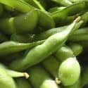 soy-beans.jpg