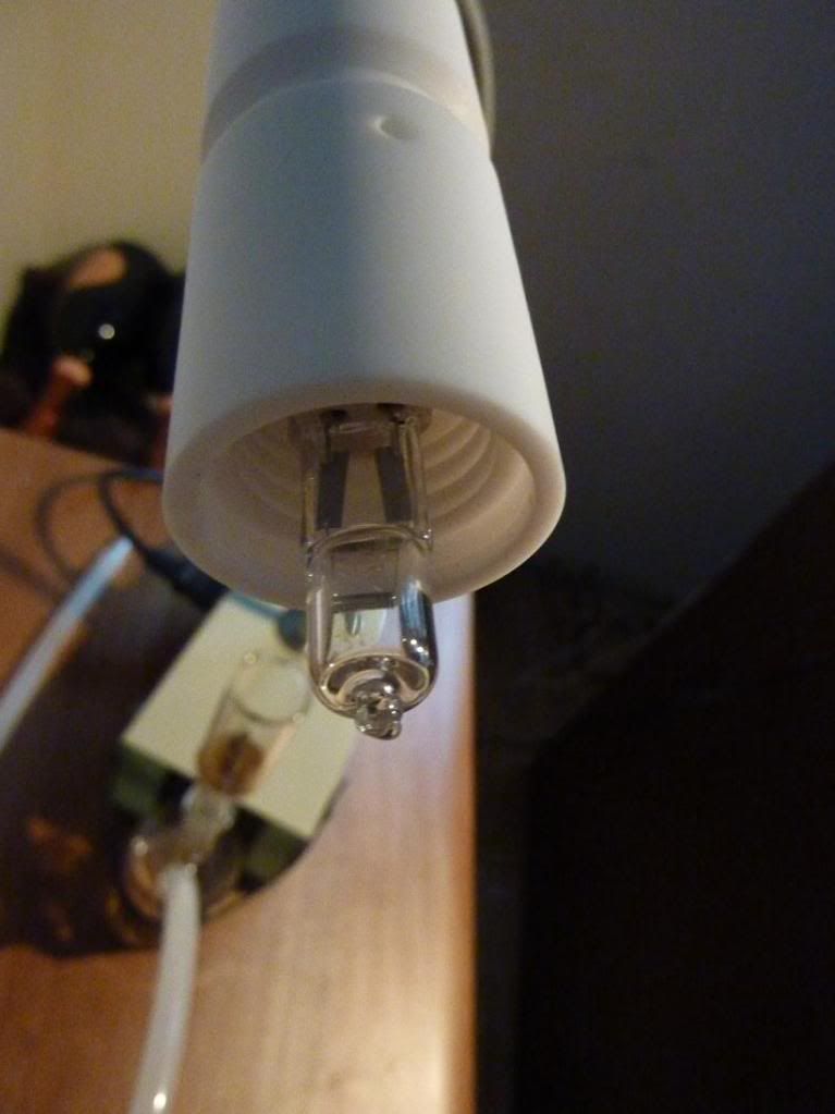 bulb.jpg