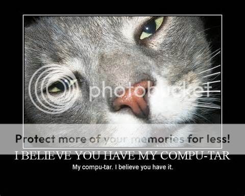 funny-cats-pic-cat-the-day_4763798379563220_zps3ed4977c.jpg