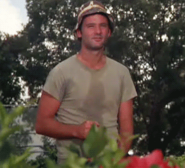 AnpfJgU.gif