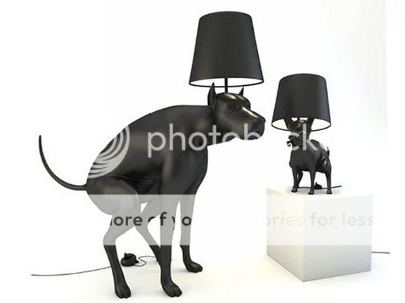 1-funny-light-scatting-dog_zpsyikgdkag.jpg