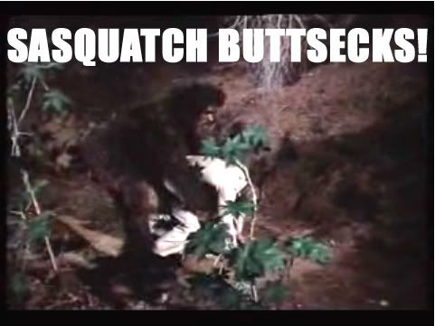 sasquatch_steveaustin.jpg