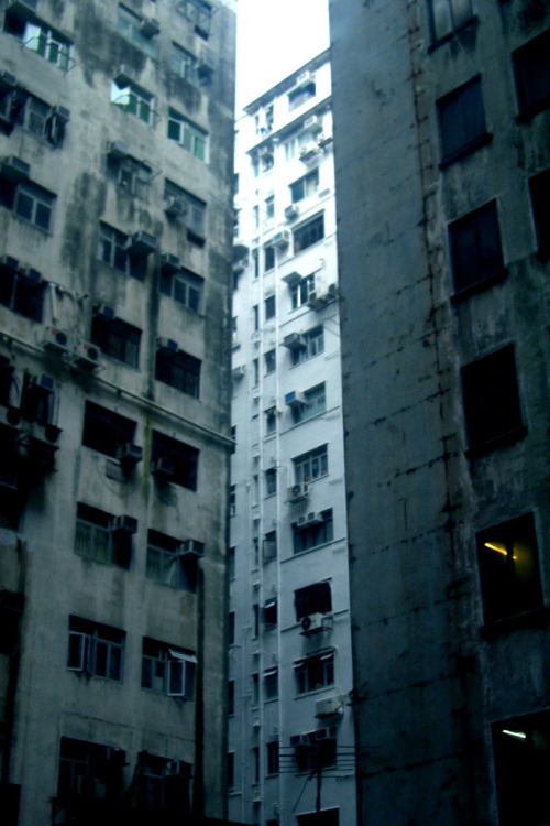 tumblr_m8uc157GrN1rq6cnlo1_500.jpg