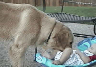 ja08PYY.gif