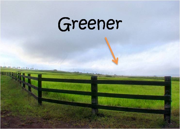 Greener-Pastures-3.jpg