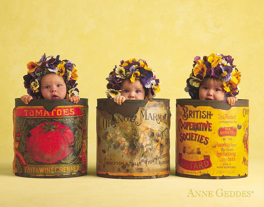 pansies-anne-geddes.jpg