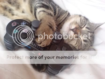 my_cat_and_my_ps3_controller_by_kel.jpg
