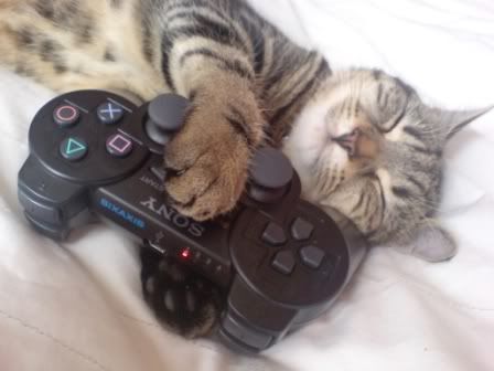 my_cat_and_my_ps3_controller_by_kel.jpg