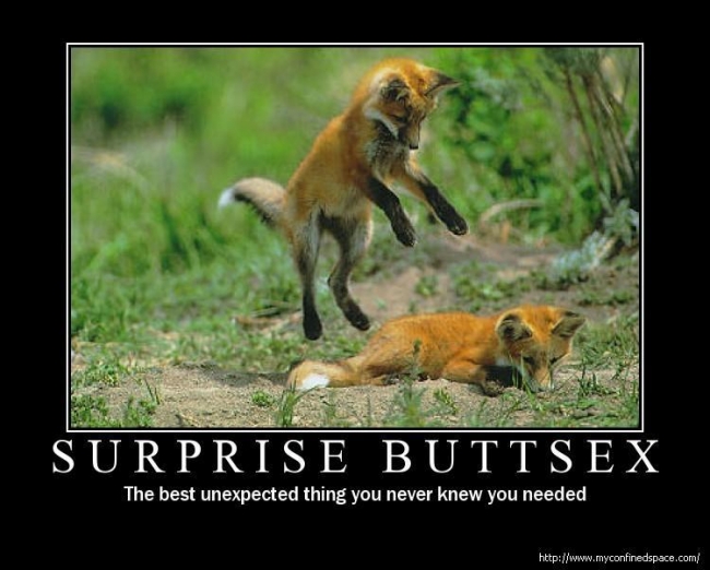 surprise-buttsex.jpg