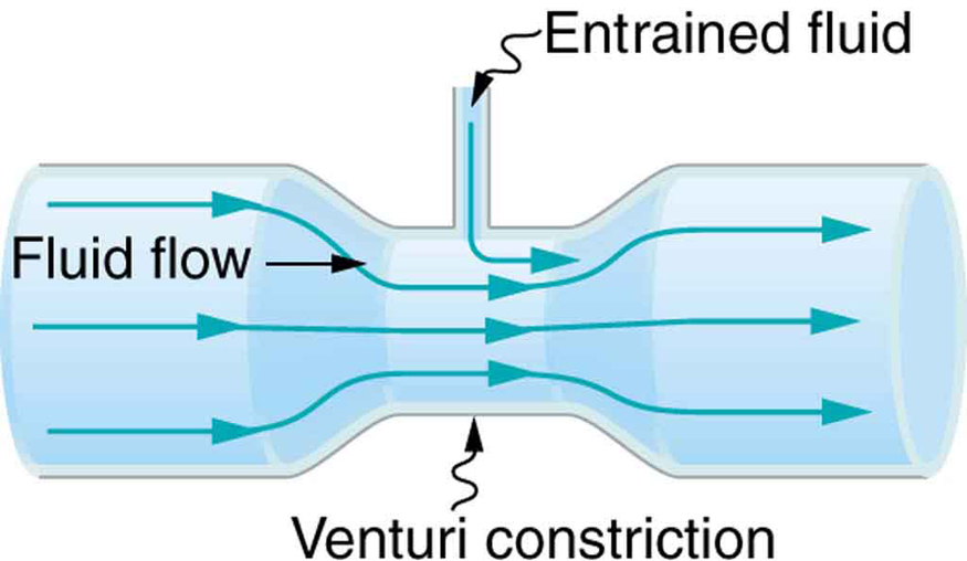 Figure_13_02_05a.jpg