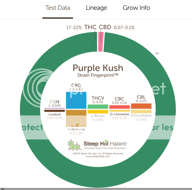 PurpleKush_zpsbrhd7rt3.png