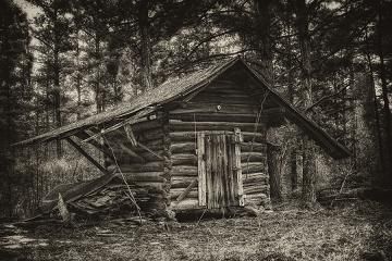 log-cabin-in-the-woods_40_zpsccb4b348.jpg