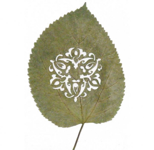 leaf_art_Lorenzo-Duran_outoftheboxmag_7.jpg