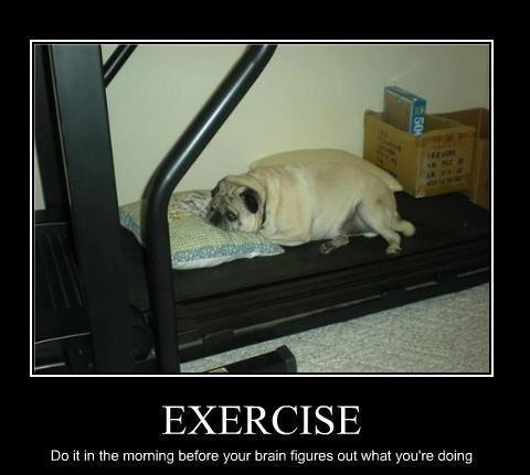 exercise+before+your+mind+figures+it+out.jpg