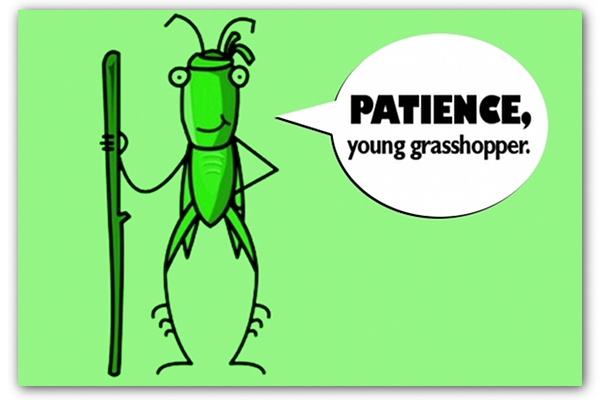 patience-young-grasshopper.jpg