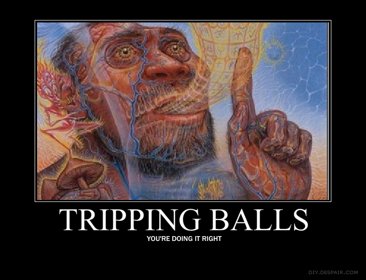 tripping_balls_demote_poster_by_quinn_i_am-d36h6ip.jpg