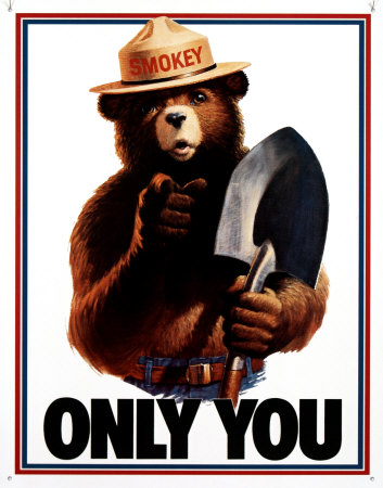 d834smokey-bear-only-you-posters.jpg