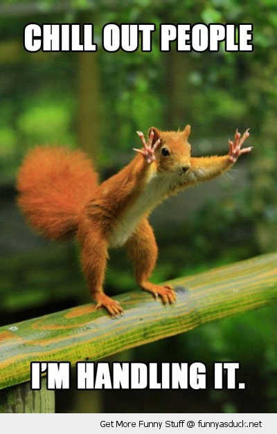 funny-chill-squirrel-hands-up-pics.jpg