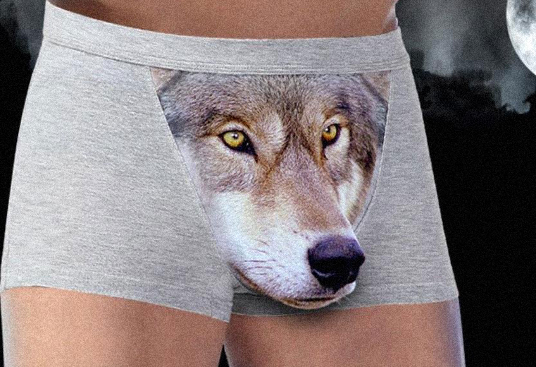 wolf-underwear.jpg