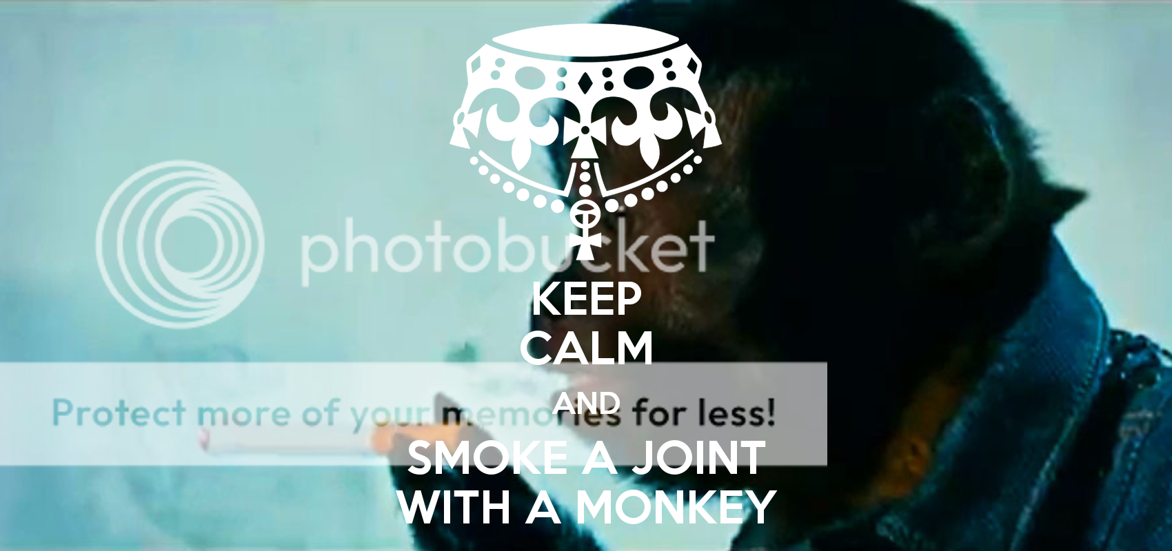 keep-calm-and-smoke-a-joint-with-a-monkey_zps84c76a12.png
