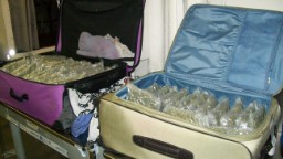140502171010-marijuana-tsa-suitcases-hp-video.jpg