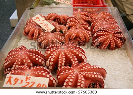stock-photo-octopus-tako-in-tsukiji-market-tokyo-japan-57605380.jpg