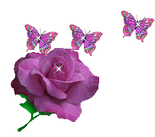 butterly-roses-source_teh.gif