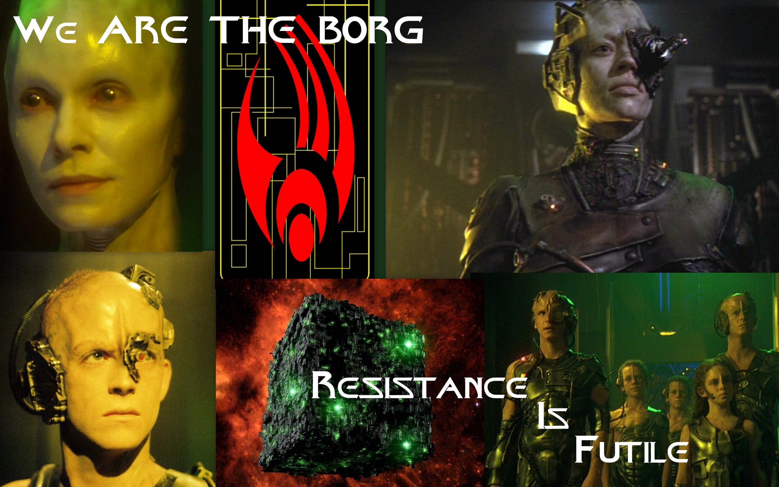 We-are-the-Borg-Voyager-themed-star-trek-voyager-10641260-2560-1600.jpg