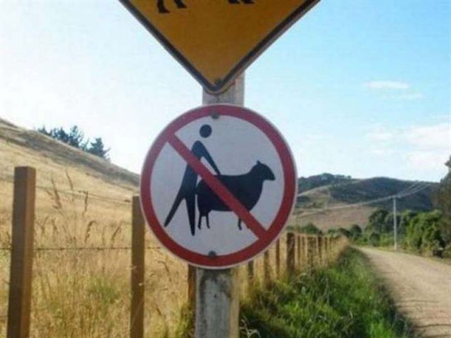 top_5_funniest_road_signs_in_the_world_640_04.jpg
