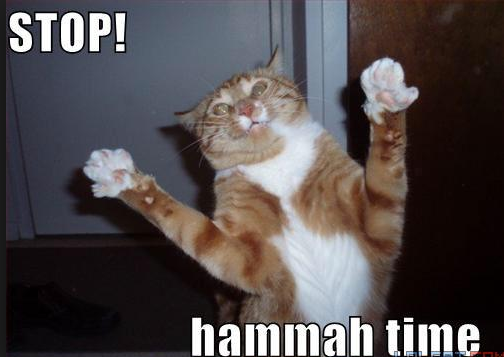 Lolcat_hammer_time.png