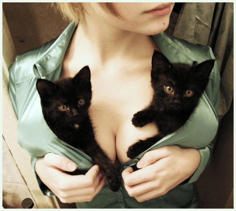 cat-kitten-boob-bewbs-coat-1290204259P.jpg