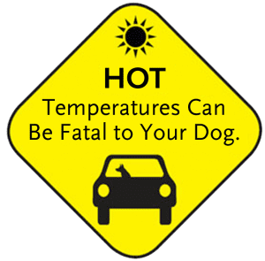 hot-car-warning-300x295.png