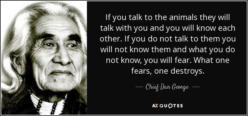 quote-if-you-talk-to-the-animals-they-will-talk-with-you-and-you-will-know-each-other-if-you-chief-dan-george-103-46-92.jpg