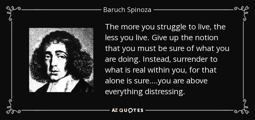 quote-the-more-you-struggle-to-live-the-less-you-live-give-up-the-notion-that-you-must-be-baruch-spinoza-41-21-22.jpg