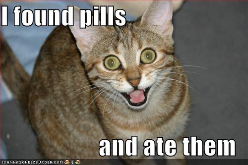 lolcat-funny-picture-found-pills-ate-eat1.jpg