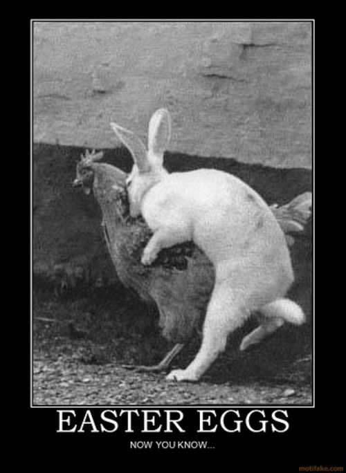 funny-easter-pictures9.jpg
