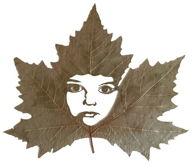 Leaf-art-by-Lorenzo-Duran3.jpg