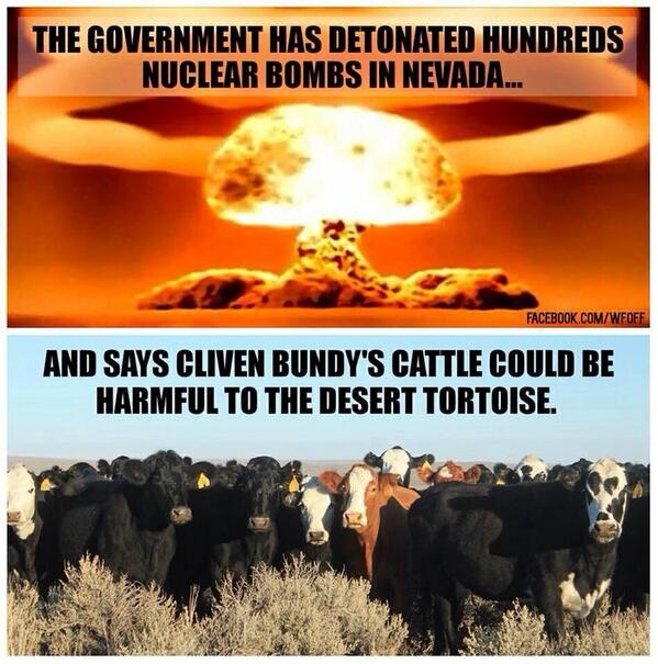 Bundy-cattle-nuclear-bombs.jpg