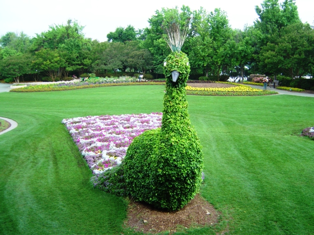 animal-topiary.jpg