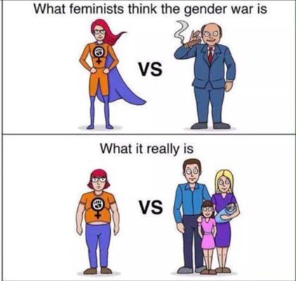 feminist-reality-cartoon.jpg